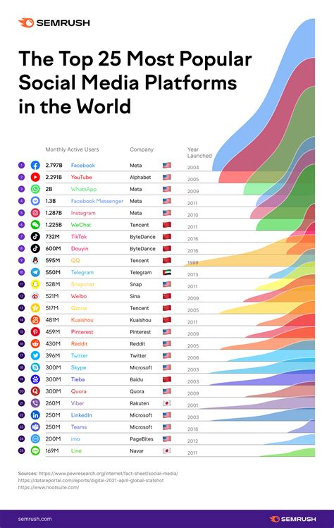 Popularity and meteoric rise on the social media platform