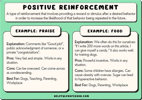 Positive Reinforcement: Rewarding Good Behavior for Optimal Results