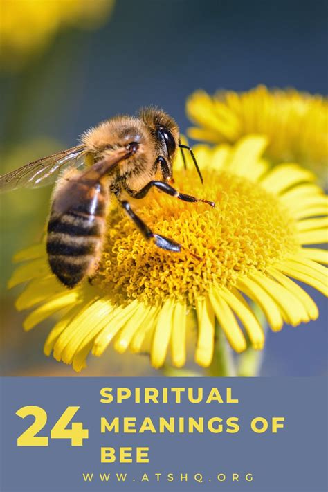 Possible Interpretations: What Does Consuming a Bee Signify?