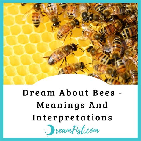 Possible Interpretations of Bee Dreams for Expectant Mothers