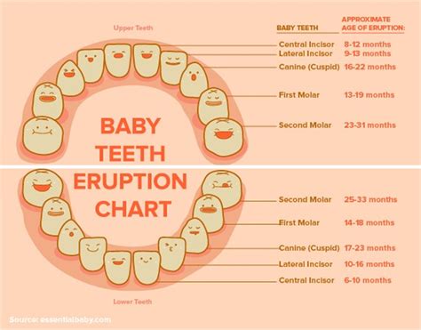 Possible Meanings of an Infant Daughter with Teeth