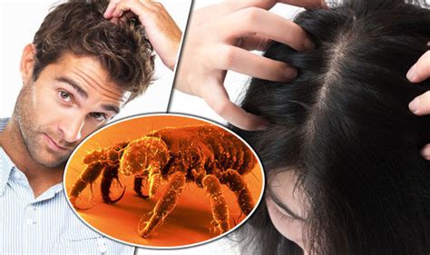 Possible Triggers for Experiencing Insect Infestation Delusions on the Scalp