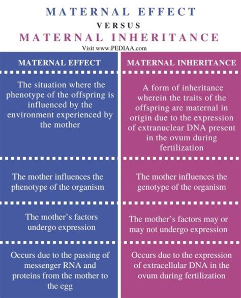 Potential Effects of Maternal-Son Dreaming on Real-Life Relationships