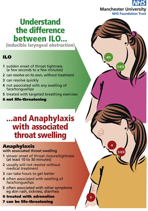 Potential Medical Conditions Associated with Sensation of an Obstruction in the Throat