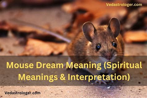 Potential Psychological Meanings of Dreaming About a Captured Mouse