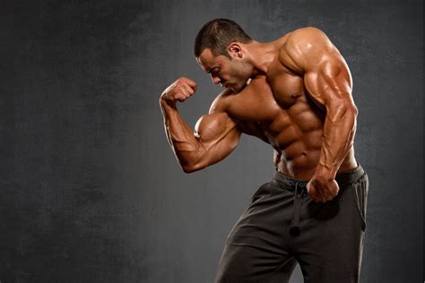 Powerful Training Programs: Enhancing Strength and Crafting a Sculpted Physique