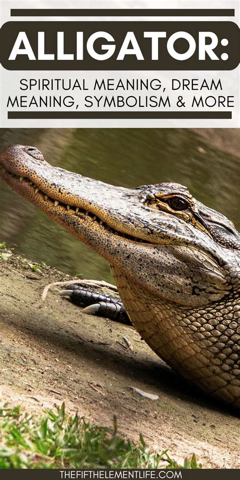 Powerful and Ancient: The Symbolic Representations of Alligators