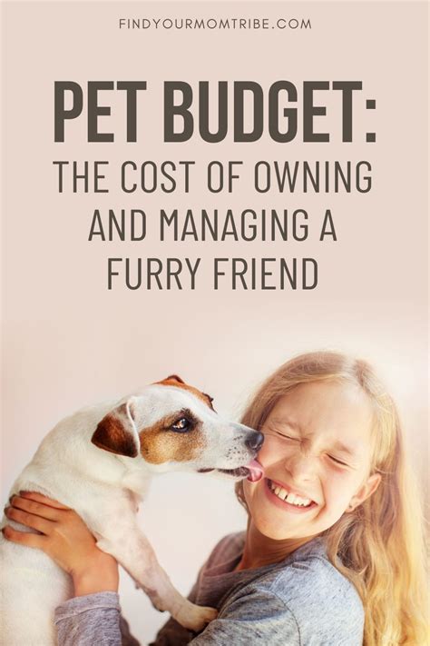 Practical Tips for Managing a Household Full of Furry Friends