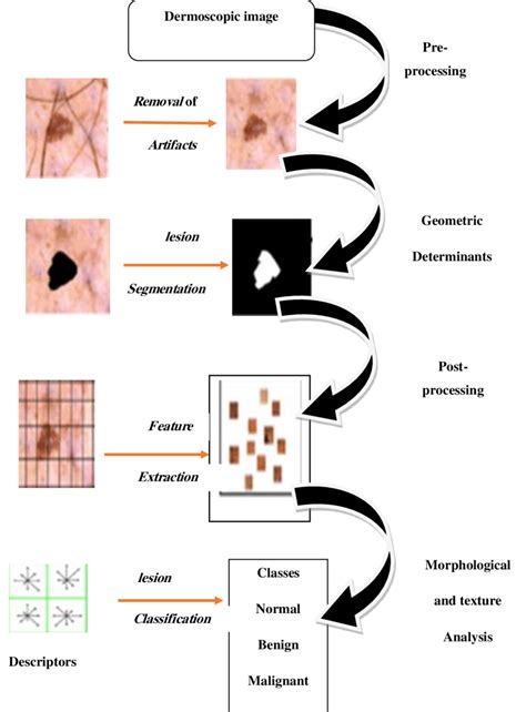 Practical Tips for Understanding and Processing Dream Symbols of Skin Lesions on the Facial Region 