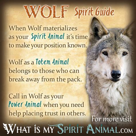 Practical Ways to Harness the Power of Wolf Symbolism in Your Waking Life