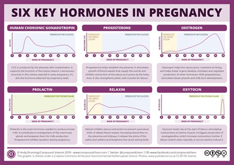 Pregnancy Hormones and Their Potential Influence on Dreams of Fish