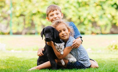 Preparing Your Home for a New Four-legged Family Member