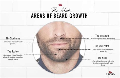 Preparing Your Skin for Beard Growth: Vital Advice for Optimal Facial Hair Development