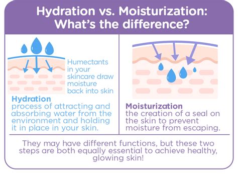 Preparing Your Skin for the Sun: Hydration and Moisturization