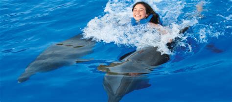 Preparing for the Adventure: Essential Information Before Engaging in Dolphin Swim