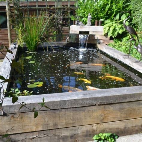 Preparing for the Journey: Setting Up a Pond for The Splendid Koi