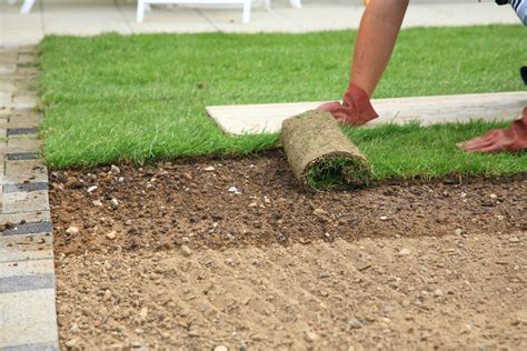 Preparing the Ground for Successful Turf Establishment