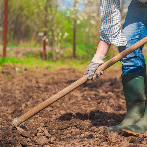 Preparing the Soil: Tips for Optimal Garden Egg Growth