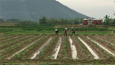 Preserving Agricultural Heritage for Future Generations