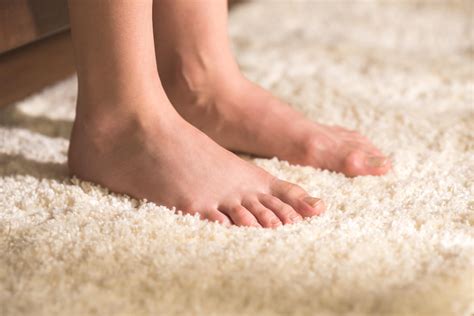 Preserving and Prolonging the Lifespan of Your Carpet