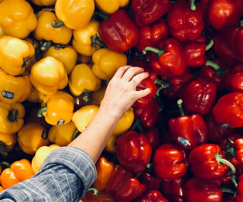 Preserving the Flavor: Tips for Properly Storing Green Peppers