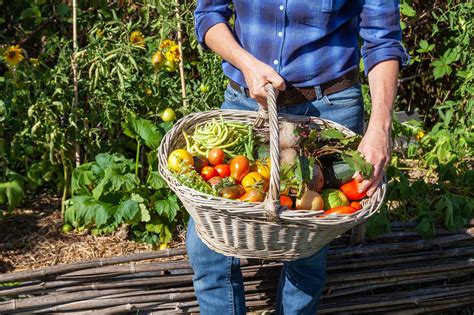 Preserving the Freshness: Extending the Lifespan of Your Garden Harvest