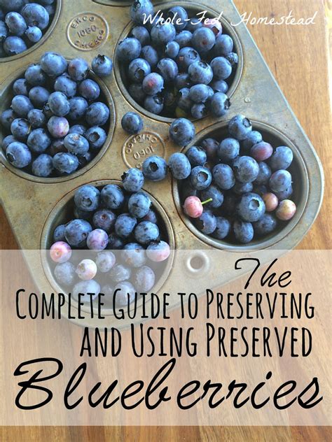 Preserving the Harvest: How to Store and Freeze Blueberries for Year-Round Enjoyment