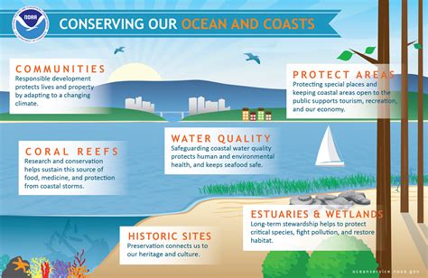 Preserving the Magic: Steps Towards Conserving Misty Coastal Waters for Future Generations