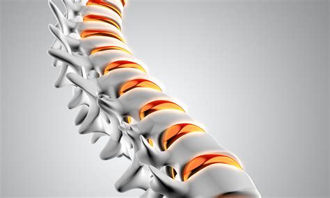 Preventing Back Pain and Maintaining a Healthy Spine