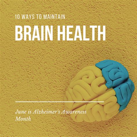 Preventing Brain Hemorrhage: Essential Measures for Maintaining Brain Health