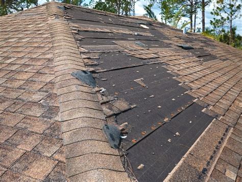 Preventing Future Roof Damage: Maintenance Tips and Tricks