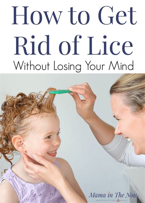 Prevention and Tips to Avoid Future Lice Infestations