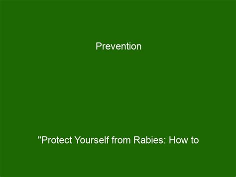 Prevention is Key: Safeguarding Yourself and Your Pets against Rabies