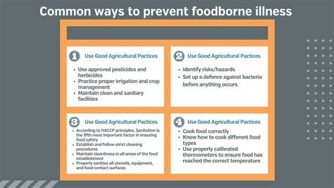 Preventive Measures: Ensuring Glass-Free Products in the Food Industry