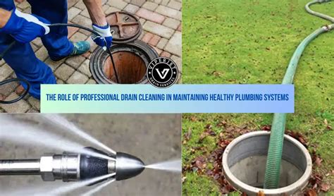 Proactive Steps for Maintaining Clear Drainage Systems