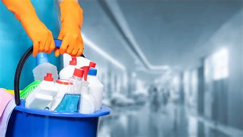 Professional Cleaning Services: Pros and Cons