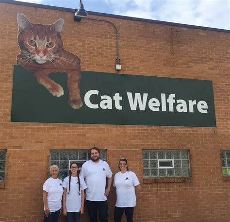 Promoting Compassionate Solutions for Feline Welfare