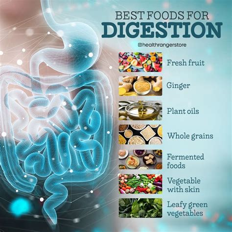 Promoting Healthy Digestion with a Diet Full of Nourishing Leafy Vegetables