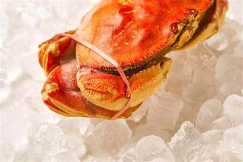 Proper Storage of Crabs: The Key to Maintaining Freshness