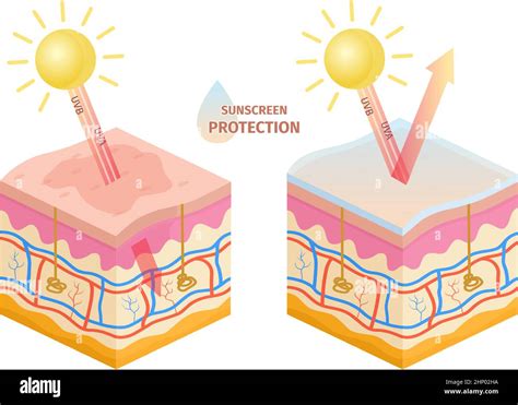 Protecting Your Skin against Damaging UV Rays