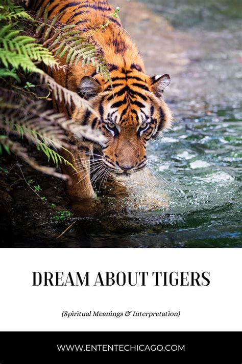 Psychoanalytic Perspectives on Dreaming of Tigers