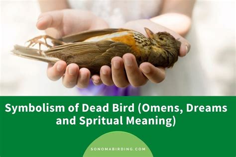 Psychological Analysis and Symbolic Representations of Bird Carrying in Dreams