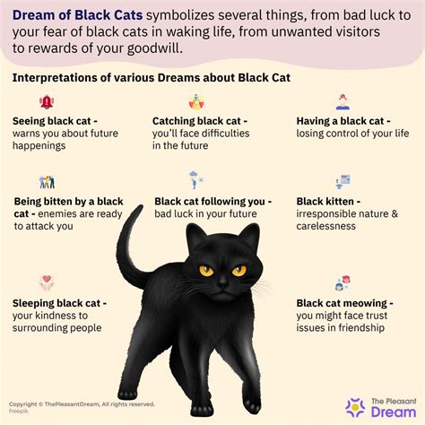 Psychological Analysis of Dreaming About a Pregnant Black Cat