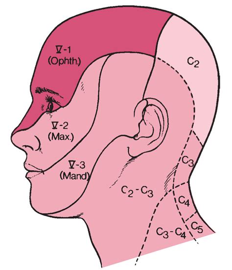 Psychological Explanations for Experiencing Sensations of Numbness in Facial Dreams