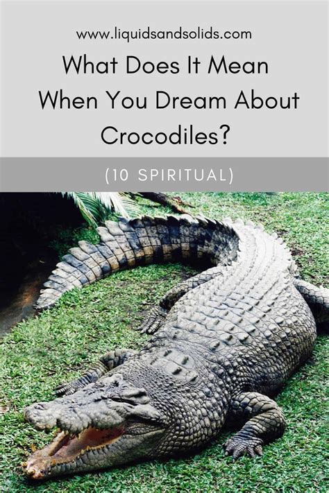 Psychological Insight into Dreaming about a Perished Crocodile