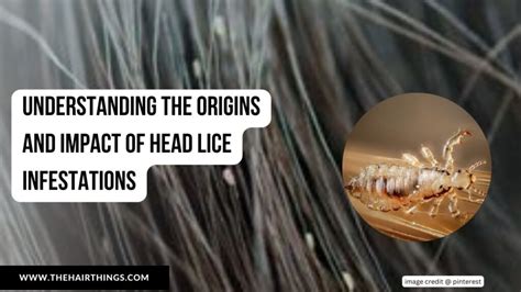 Psychological Insights into Dreams Involving Lice Infestations on the Scalp