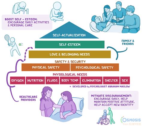 Psychological Interpretation: The Need for Comfort and Security