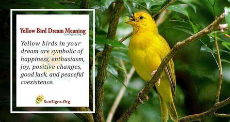 Psychological Interpretations: Illuminating the Significance of Yellow Avian Dreams