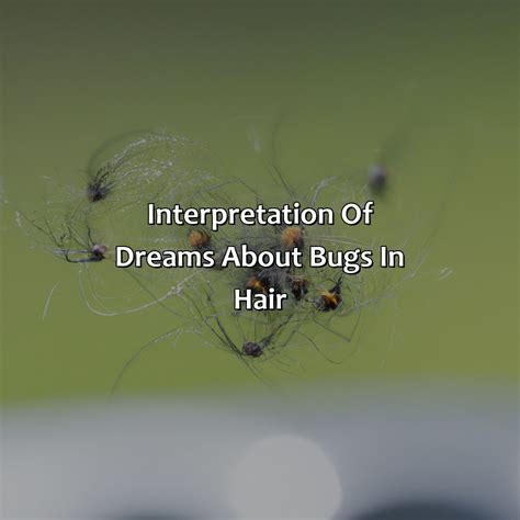 Psychological Interpretations of Dreaming about Creepy-crawlies in Your Cushion