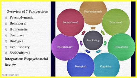 Psychological Perspectives: Analyzing the Possible Interpretations